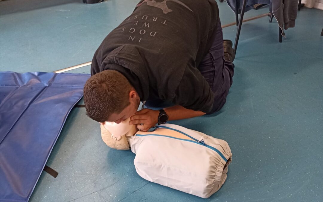 Premiers Secours en Équipe de niveau 2